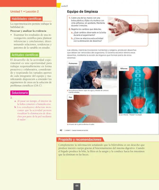 Página 45 de Ciencias Naturales – Octavo Básico | Texto del Estudiante MINEDUC – Descargar PDF · 2024