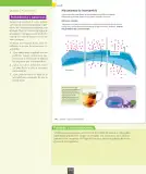 Miniatura página 111 de Ciencias Naturales – Octavo Básico | Texto del Estudiante MINEDUC – Descargar PDF · 2024