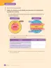 Miniatura página 42 de Ciencias Naturales – Cuarto Básico | Texto del Estudiante MINEDUC – Descargar PDF · 2024