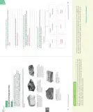 Miniatura página 151 de Ciencias Naturales – Séptimo Básico | Texto del Estudiante MINEDUC – Descargar PDF · 2024