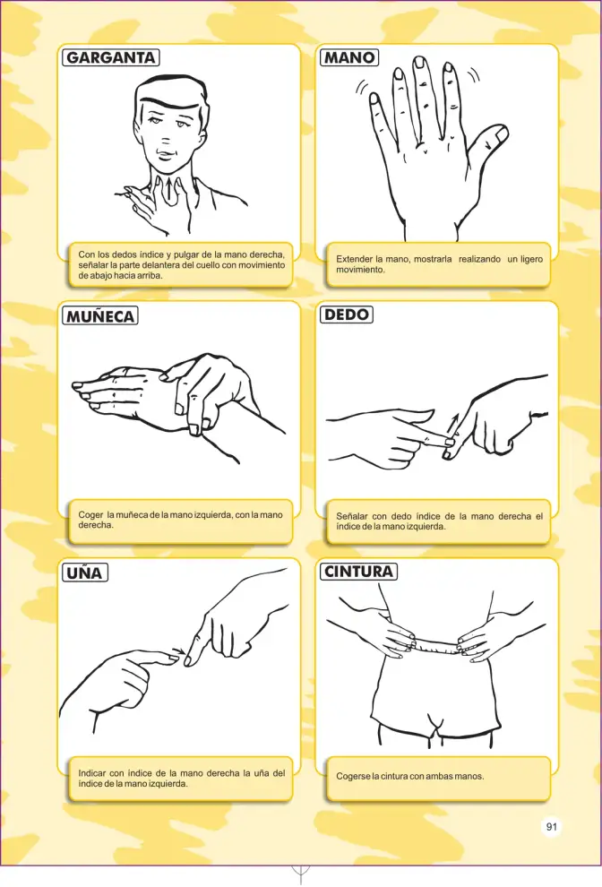 Página 91 de Lengua de señas peruana : guía para el aprendizaje de la lengua de señas peruana, vocabulario básico · 2015
