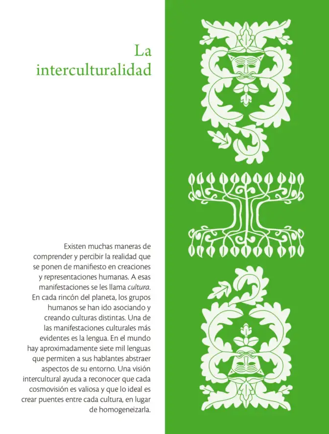 Página 242 de Colección Ximhai. Lenguajes. Libro de Educación Telesecundaria Grado 1° Ciclo Escolar 2025 - 2026