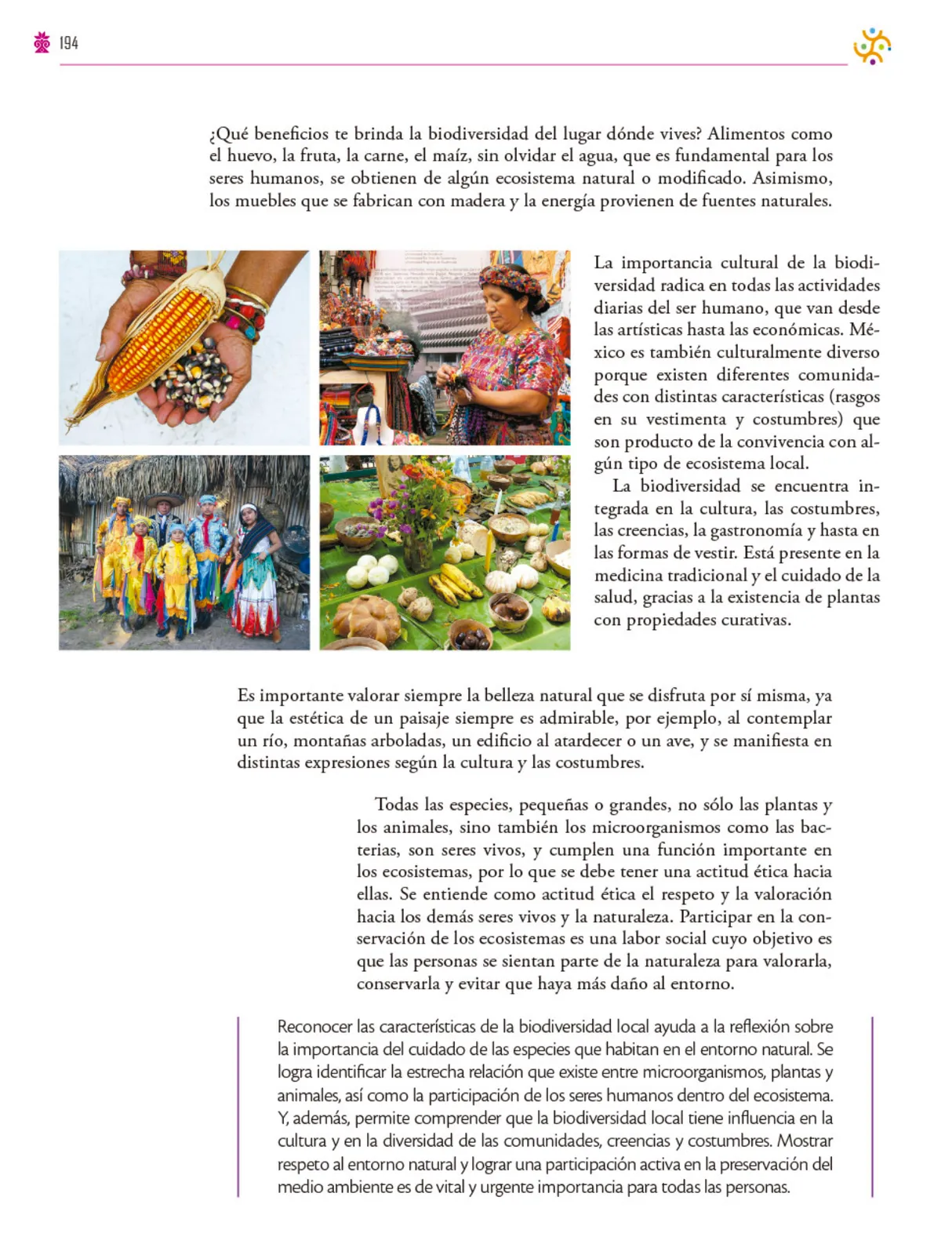 Página 195 de Colección Ximhai. Saberes y pensamiento científico.   Libro de Educación Secundaria Grado 1°  Ciclo Escolar 2025 - 2026