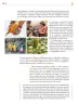 Miniatura página 195 de Colección Ximhai. Saberes y pensamiento científico.   Libro de Educación Secundaria Grado 1°  Ciclo Escolar 2025 - 2026