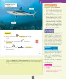 Miniatura página 138 de Ciencias Naturales – Primero Básico | Texto del Estudiante (MINEDUC) – Descargar PDF · 2024