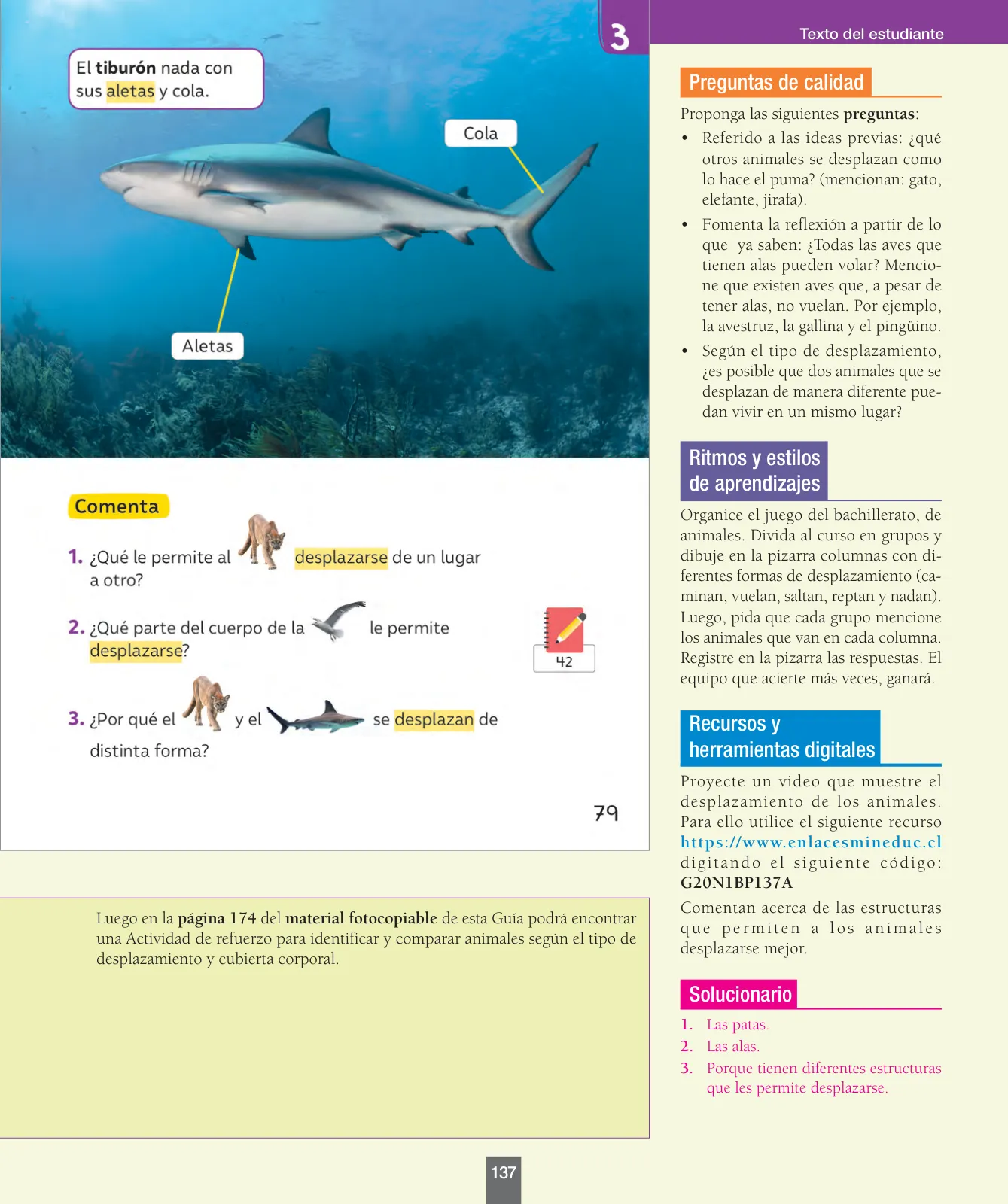 Miniatura página 138 de Ciencias Naturales – Primero Básico | Texto del Estudiante (MINEDUC) – Descargar PDF · 2024