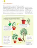 Miniatura página 193 de Libro de Ciencias Naturales – Quinto Básico | Texto del Estudiante MINEDUC – Descargar PDF · 2024