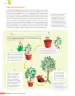 Miniatura página 193 de Libro de Ciencias Naturales – Quinto Básico | Texto del Estudiante MINEDUC – Descargar PDF · 2024