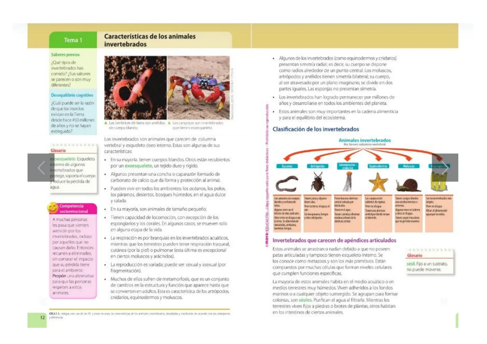 Página 4 de Ciencias Naturales 5° · Egb 5 Ciencias Naturales 2024 · 2024