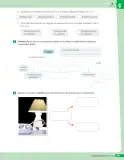 Miniatura página 100 de Libro de Ciencias Naturales – Quinto Básico | Texto del Estudiante MINEDUC – Descargar PDF · 2024