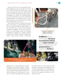 Miniatura página 32 de Nuestros saberes: México, grandeza y diversidad.   Libro de Educación Primaria Grado 4°  Ciclo Escolar 2025 - 2026