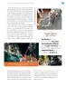 Miniatura página 32 de Nuestros saberes: México, grandeza y diversidad.   Libro de Educación Primaria Grado 4°  Ciclo Escolar 2025 - 2026