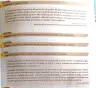 Miniatura página 86 de Lengua y Literatura 1° · 2025