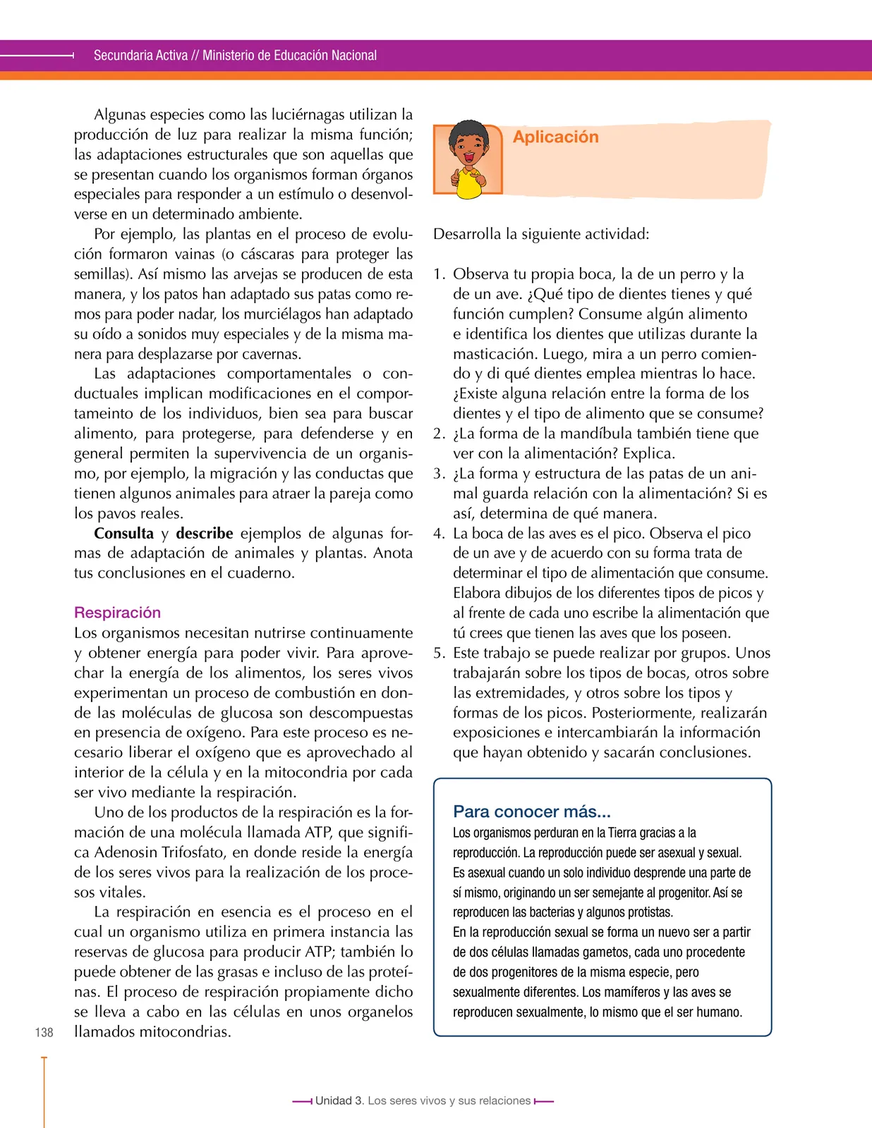Página 140 de Ciencias Naturales 6° · Secundaria Activa