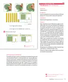 Miniatura página 21 de Sumo Primero – Segundo Básico | Texto del Estudiante MINEDUC – Descargar PDF · 2024