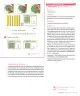 Miniatura página 21 de Sumo Primero – Segundo Básico | Texto del Estudiante MINEDUC – Descargar PDF · 2024