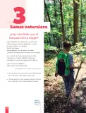 Miniatura página 90 de Libro de Lengua y Literatura – Séptimo Básico | Texto del Estudiante MINEDUC – Descargar PDF · 2024