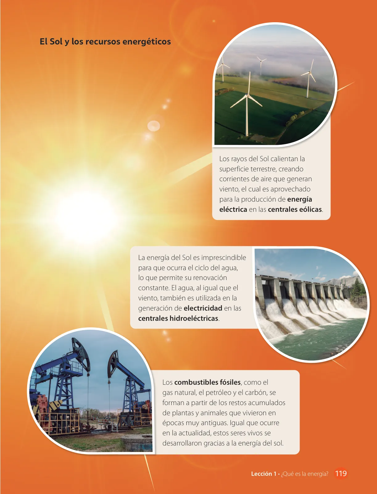 Página 121 de Libro de Ciencias Naturales – Quinto Básico | Texto del Estudiante MINEDUC – Descargar PDF · 2024
