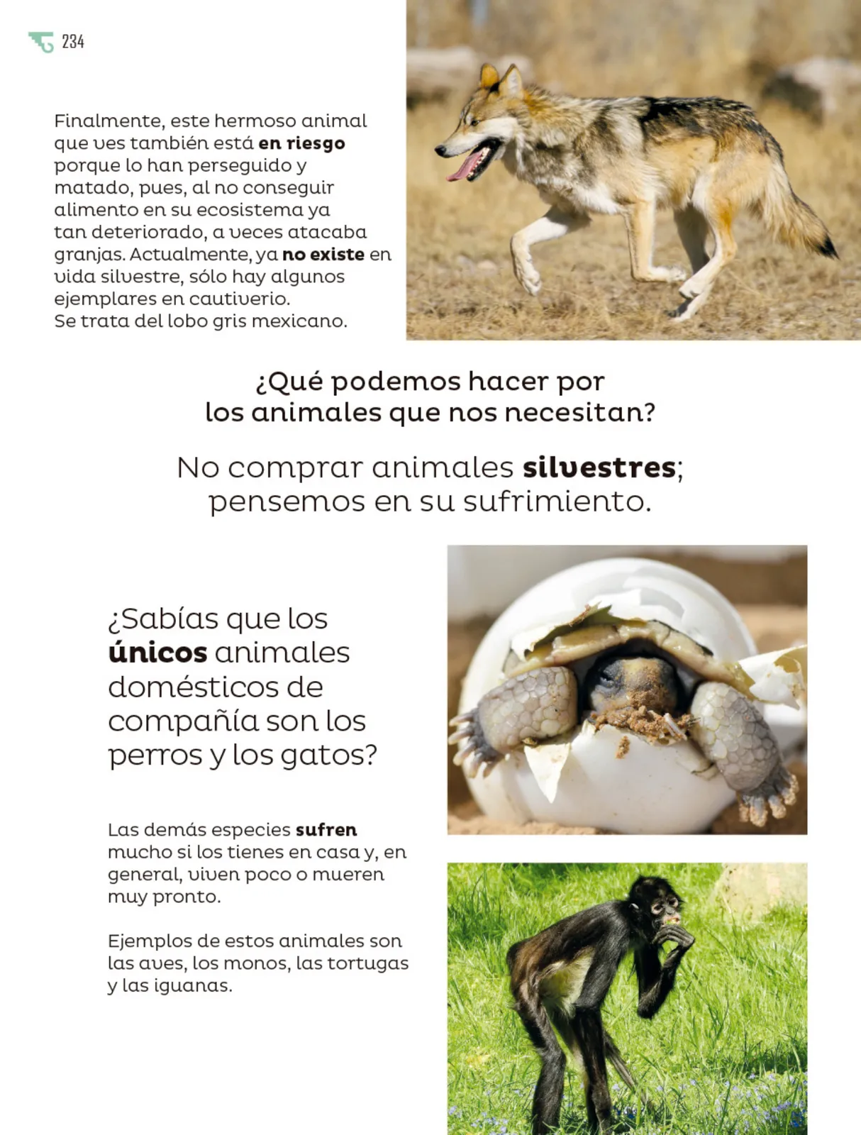 Miniatura página 235 de Múltiples lenguajes.   Libro de Educación Primaria Grado 6°  Ciclo Escolar 2025 - 2026