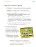 Miniatura página 274 de Proyectos Comunitarios.   Libro de Educación Primaria Grado 2°  Ciclo Escolar 2025 - 2026