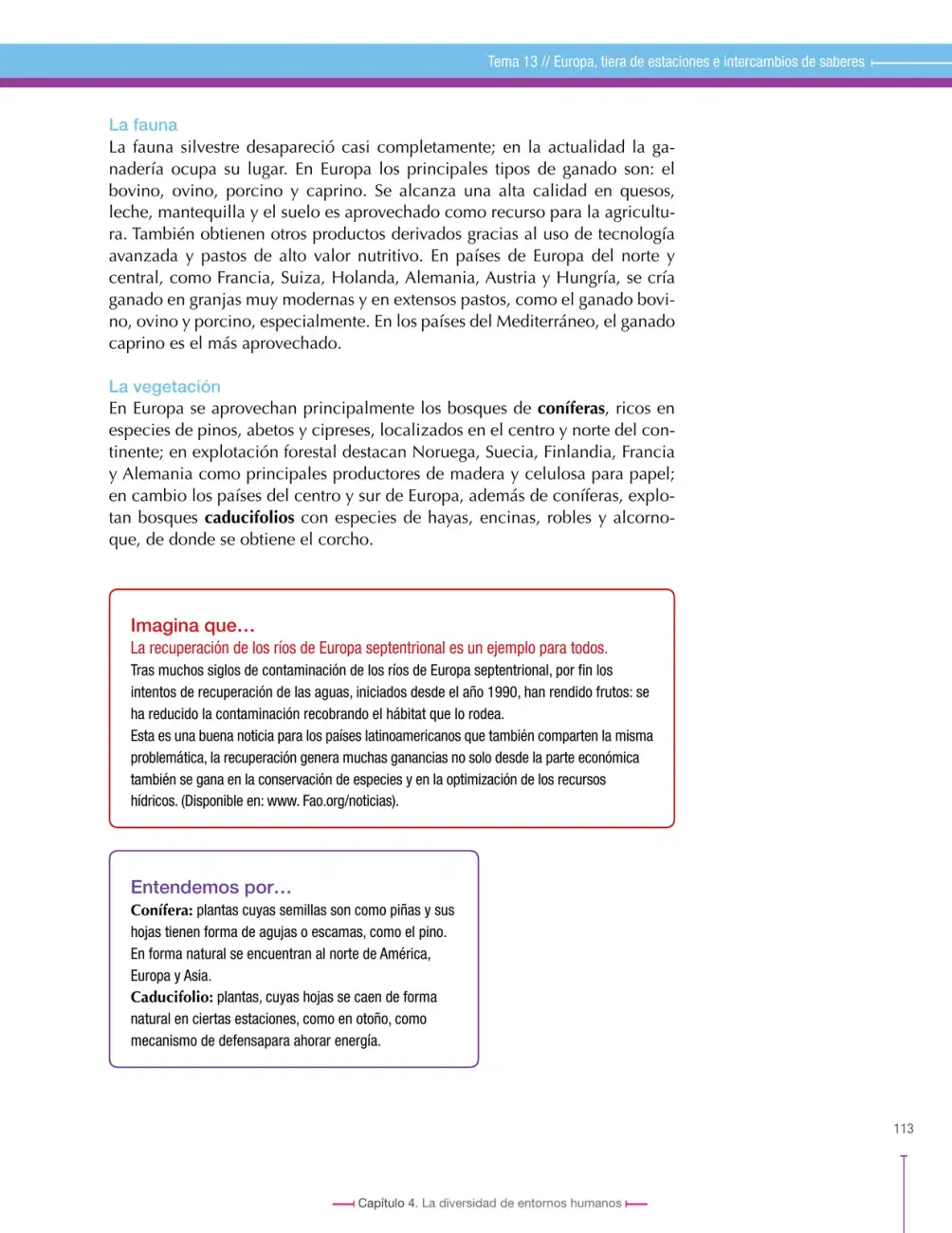 Página 113