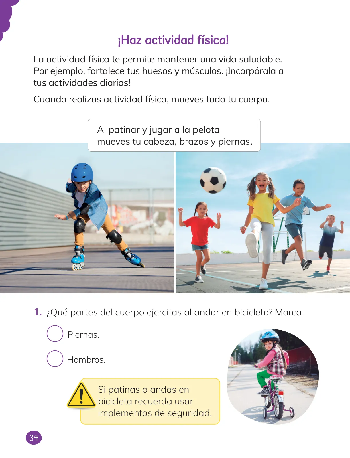Miniatura página 36 de Ciencias Naturales – Primero Básico | Texto del Estudiante (MINEDUC) – Descargar PDF · 2024