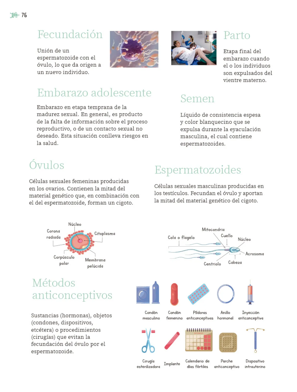Página 77 de Nuestros saberes: Libro para alumnos, maestros y familia. Libro de Educación Primaria Grado 5° Ciclo Escolar 2025 - 2026