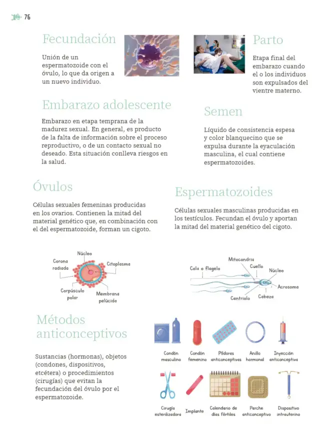 Página 77 de Nuestros saberes: Libro para alumnos, maestros y familia. Libro de Educación Primaria Grado 5° Ciclo Escolar 2025 - 2026