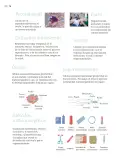 Miniatura página 77 de Nuestros saberes: Libro para alumnos, maestros y familia.   Libro de Educación Primaria Grado 5°  Ciclo Escolar 2025 - 2026