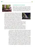 Miniatura página 265 de Colección Ximhai. Lenguajes.   Libro de Educación Telesecundaria Grado 1°  Ciclo Escolar 2025 - 2026