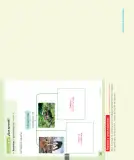 Miniatura página 113 de Ciencias Naturales – Primero Básico | Texto del Estudiante (MINEDUC) – Descargar PDF · 2024