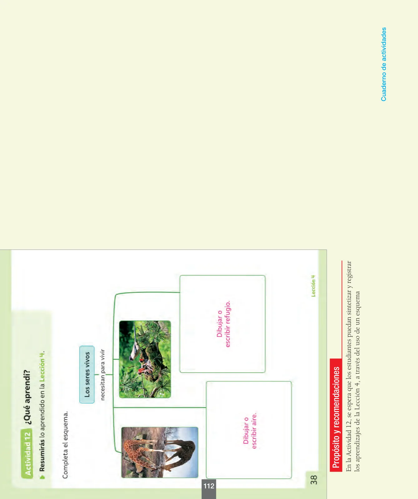 Miniatura página 113 de Ciencias Naturales – Primero Básico | Texto del Estudiante (MINEDUC) – Descargar PDF · 2024