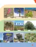 Miniatura página 99 de Ciencias Naturales – Tercero Básico | Texto del Estudiante MINEDUC – Descargar PDF · 2024