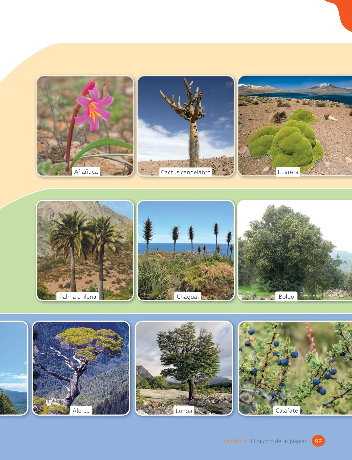 Miniatura página 99 de Ciencias Naturales – Tercero Básico | Texto del Estudiante MINEDUC – Descargar PDF · 2024