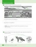 Miniatura página 80 de Ciencias Naturales – Cuarto Básico | Texto del Estudiante MINEDUC – Descargar PDF · 2024