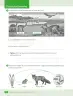Miniatura página 80 de Ciencias Naturales – Cuarto Básico | Texto del Estudiante MINEDUC – Descargar PDF · 2024