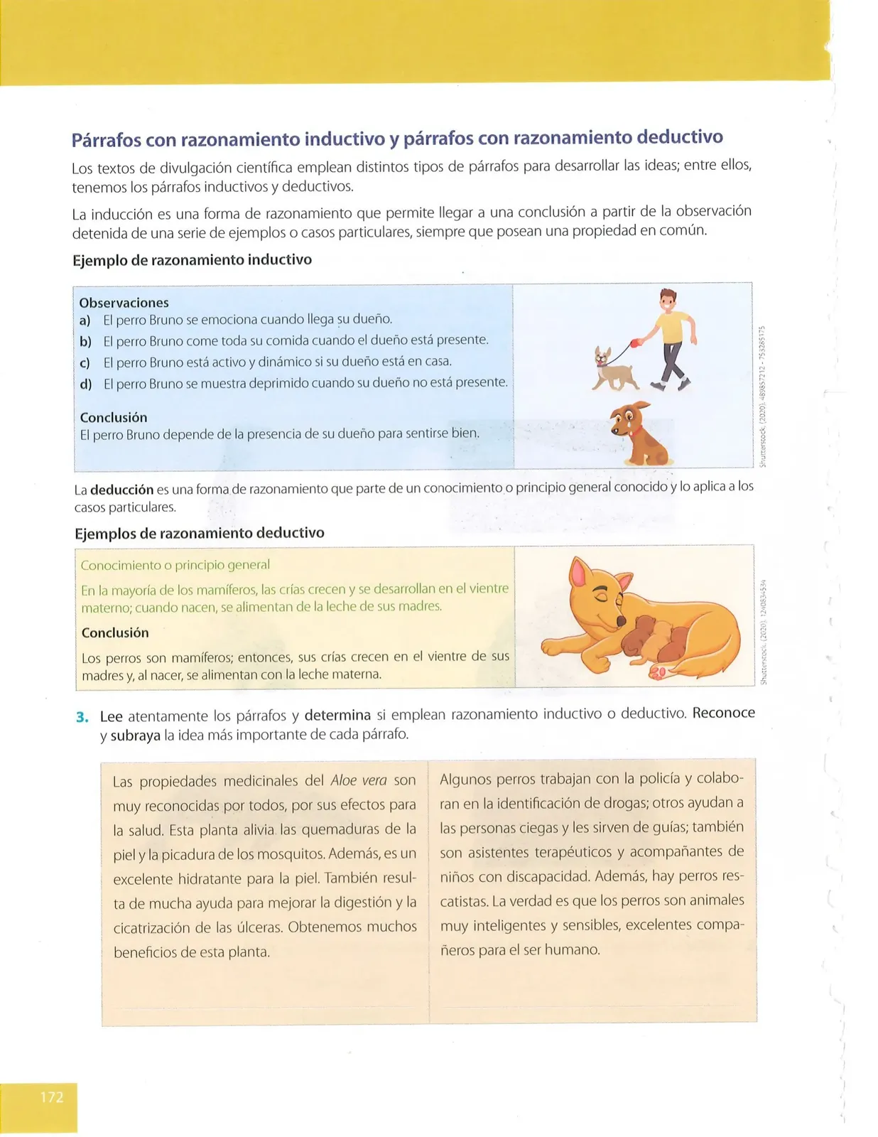 Página 172 de Lengua Y Literatura · 9 EGB · 2025