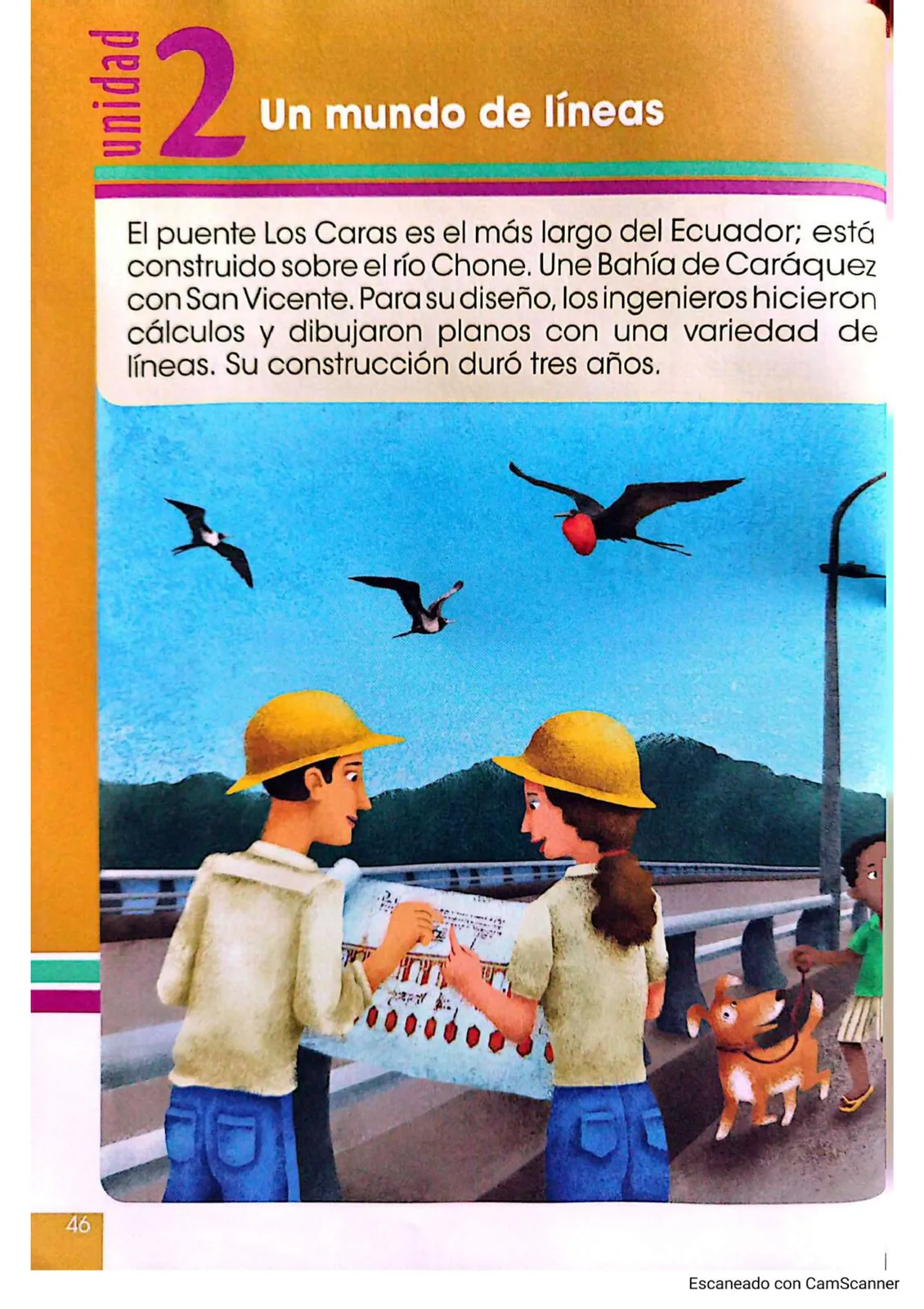 Pág 40