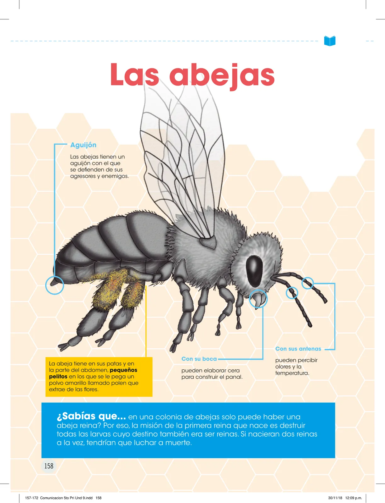 Página 160 de Comunicación : cuadernillo de trabajo 5 · 2018