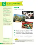 Miniatura página 203 de Ciencias Naturales – Cuarto Básico | Texto del Estudiante MINEDUC – Descargar PDF · 2024