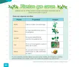 Miniatura página 96 de Cuadernillo de Comunicación 1, primer grado de Primaria · 2023