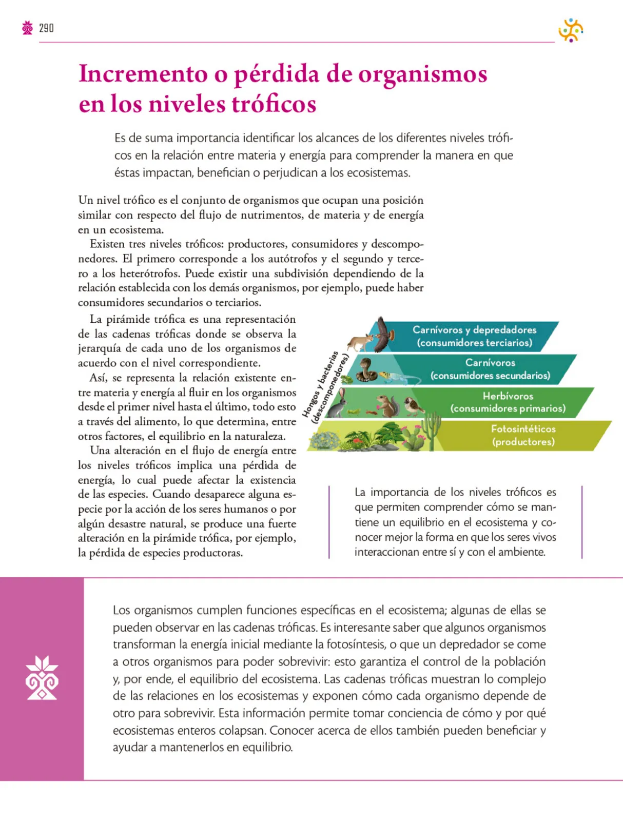 Página 291 de Colección Ximhai. Saberes y pensamiento científico. Libro de Educación Secundaria Grado 1° Ciclo Escolar 2025 - 2026
