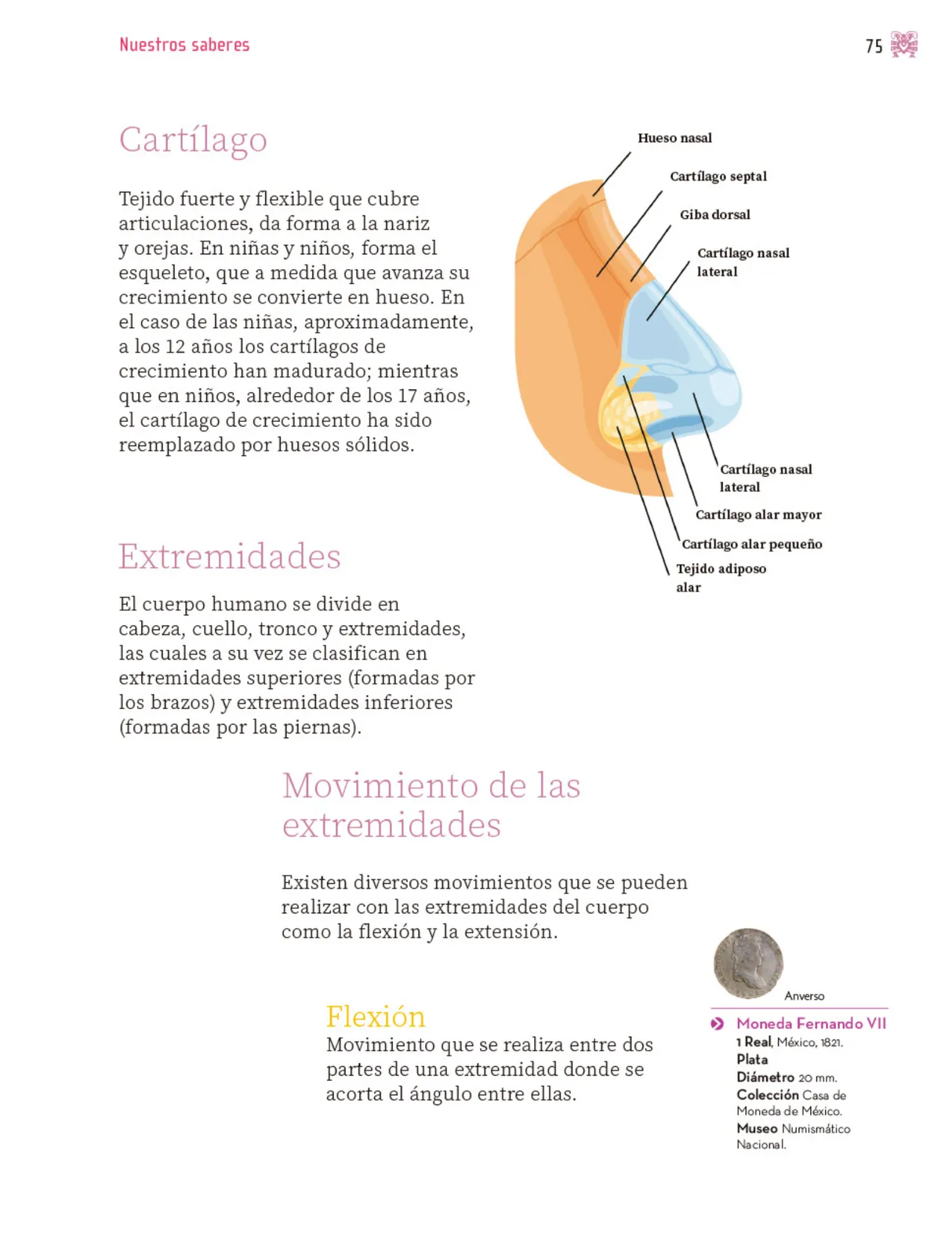 Página 76 de Nuestros saberes: Libro para alumnos, maestros y familia. Libro de Educación Primaria Grado 3° Ciclo Escolar 2025 - 2026