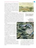 Miniatura página 158 de Nuestros saberes: México, grandeza y diversidad.   Libro de Educación Primaria Grado 4°  Ciclo Escolar 2025 - 2026