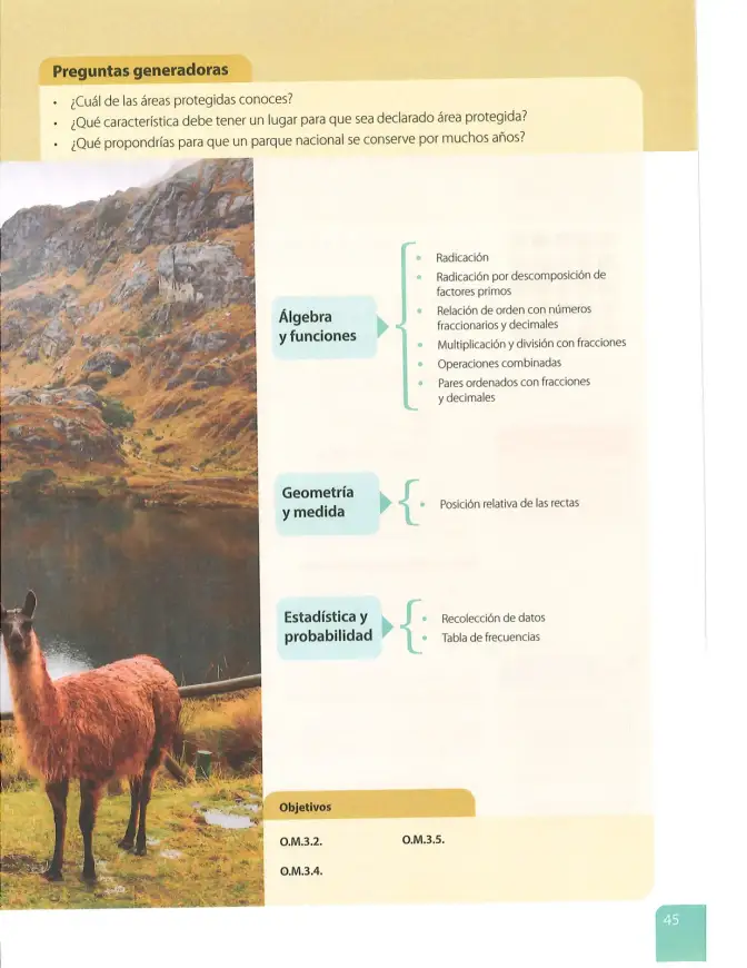 Página 46 de Matematica 7° · 2025