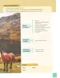 Miniatura página 46 de Matematica 7° · 2025