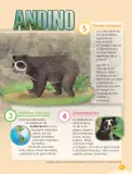 Miniatura página 91 de Cuadernillo de Comunicación 3. Tercer grado de Primaria · 2024