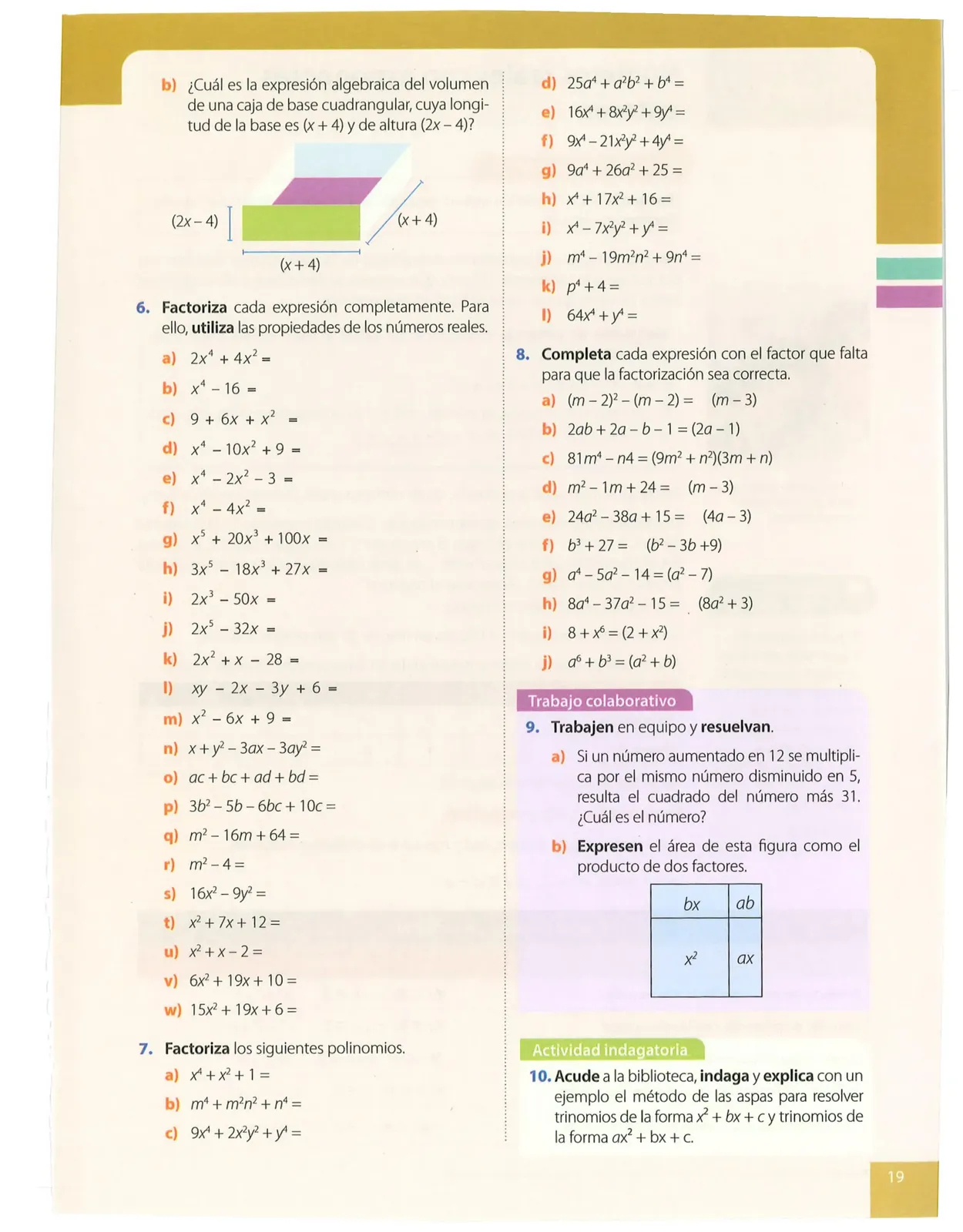 Página 19