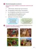 Miniatura página 39 de Ñawinchana Maytu 2 Quechua - Chanka. Texto de Comunicación del 2° Primaria - Quechua Chanka · 2023