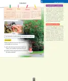 Miniatura página 88 de Ciencias Naturales – Segundo Básico | Texto del Estudiante MINEDUC – Descargar PDF · 2024